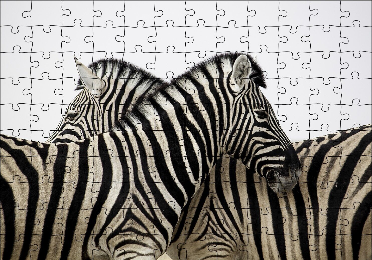 Yanyana Bir Çift Zebra Puzzle Yapboz MDF Ahşap 120 Parça 24 cm X 34 cm