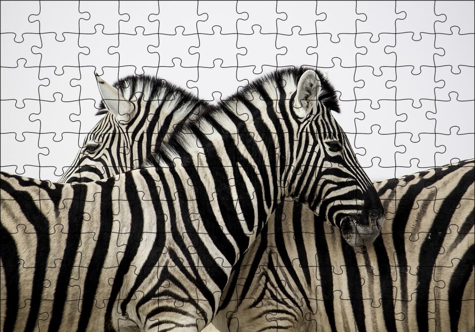 Yanyana Bir Çift Zebra Puzzle Yapboz MDF Ahşap 120 Parça 24 cm X 34 cm