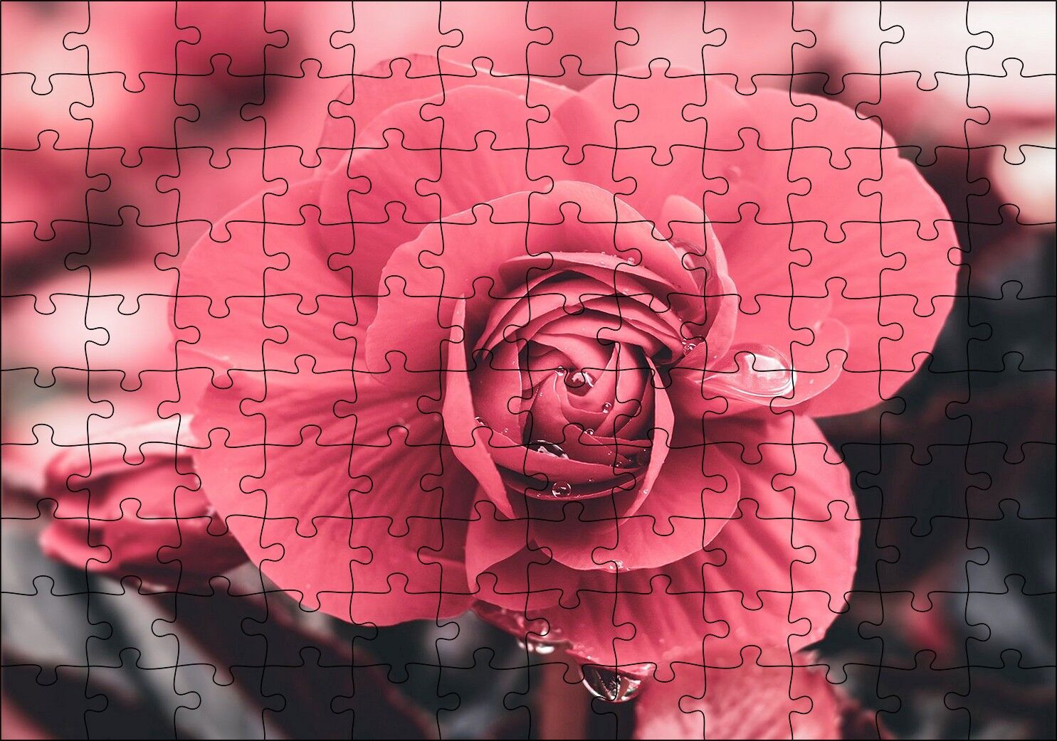 Kırmızı Çiçek ve Damlalar Yakın Plan Puzzle Yapboz MDF Ahşap 120 Parça 24 cm X 34 cm