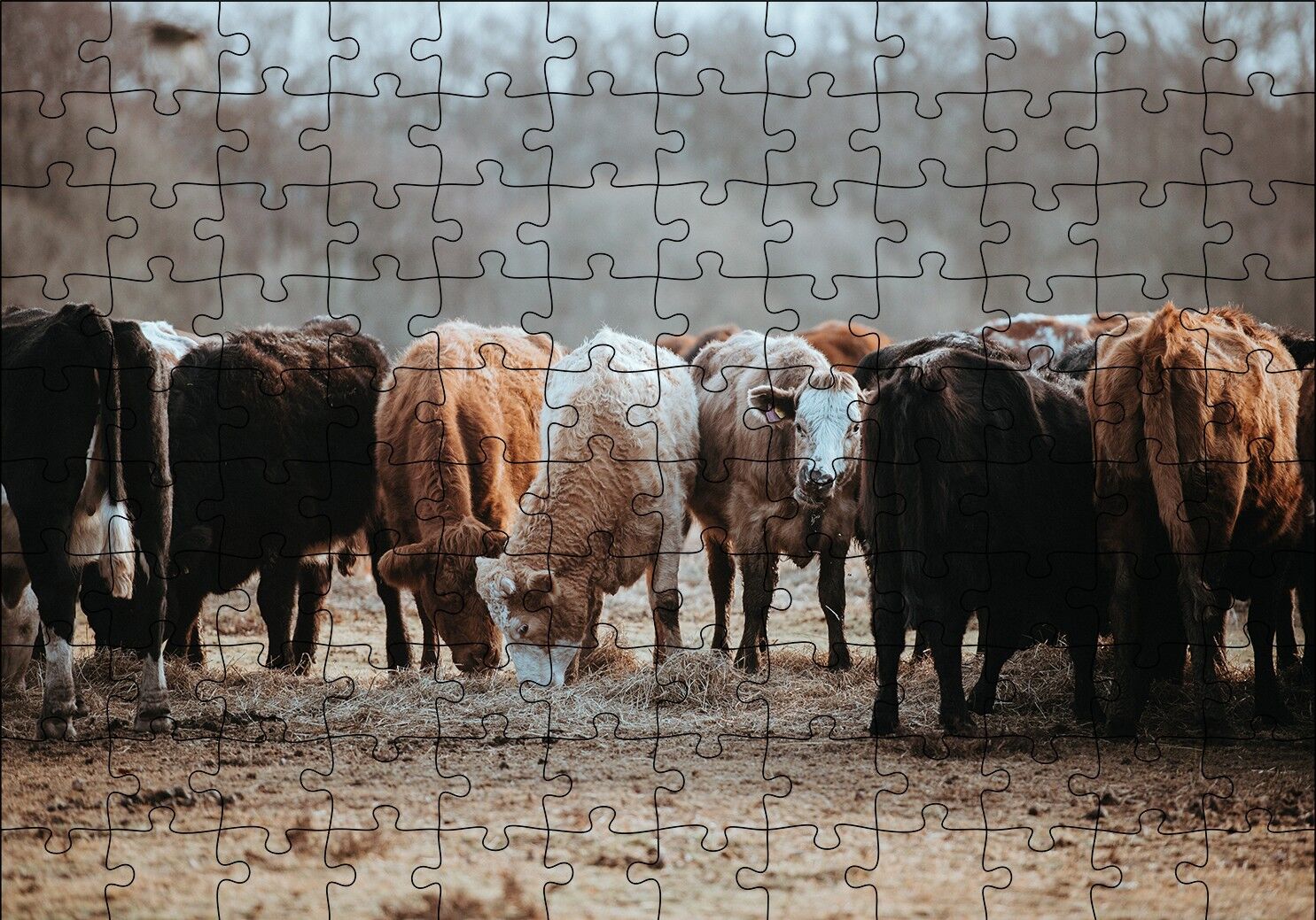 Otlayan Büyükbaş Hayvanlar Puzzle Yapboz MDF Ahşap