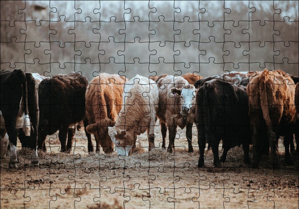 Otlayan Büyükbaş Hayvanlar Puzzle Yapboz MDF Ahşap