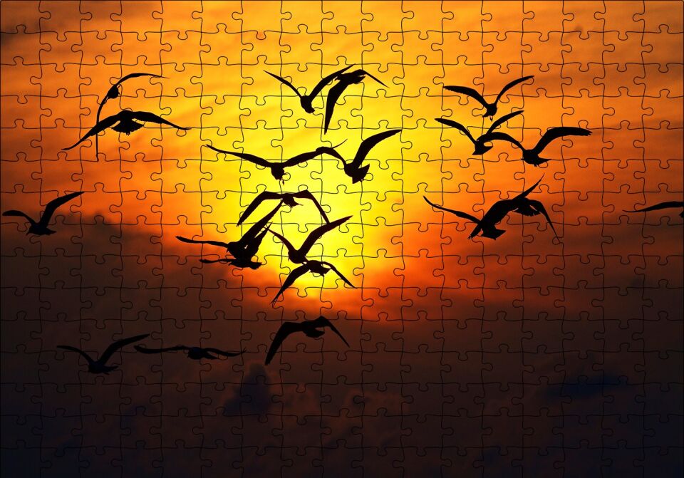 Günbatımı Kuşlar Silüet Puzzle Yapboz MDF Ahşap 255 Parça 34 cm X 49 cm