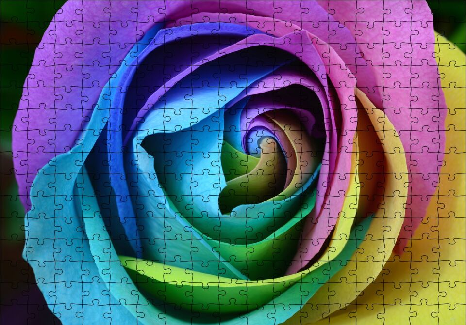 Rengarenk Gül Yakın Çekim Puzzle Yapboz MDF Ahşap 255 Parça 34 cm X 49 cm