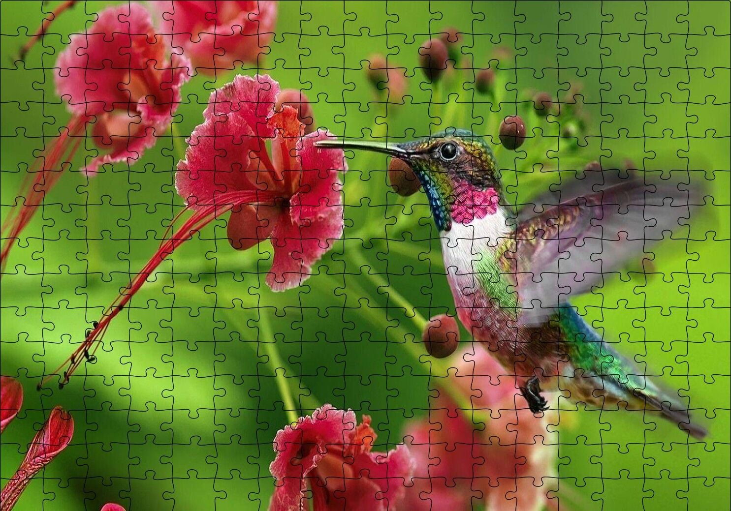 Kırmızı Çiçekler ve Sinek Kuşu Puzzle Yapboz MDF Ahşap 255 Parça 34 cm X 49 cm