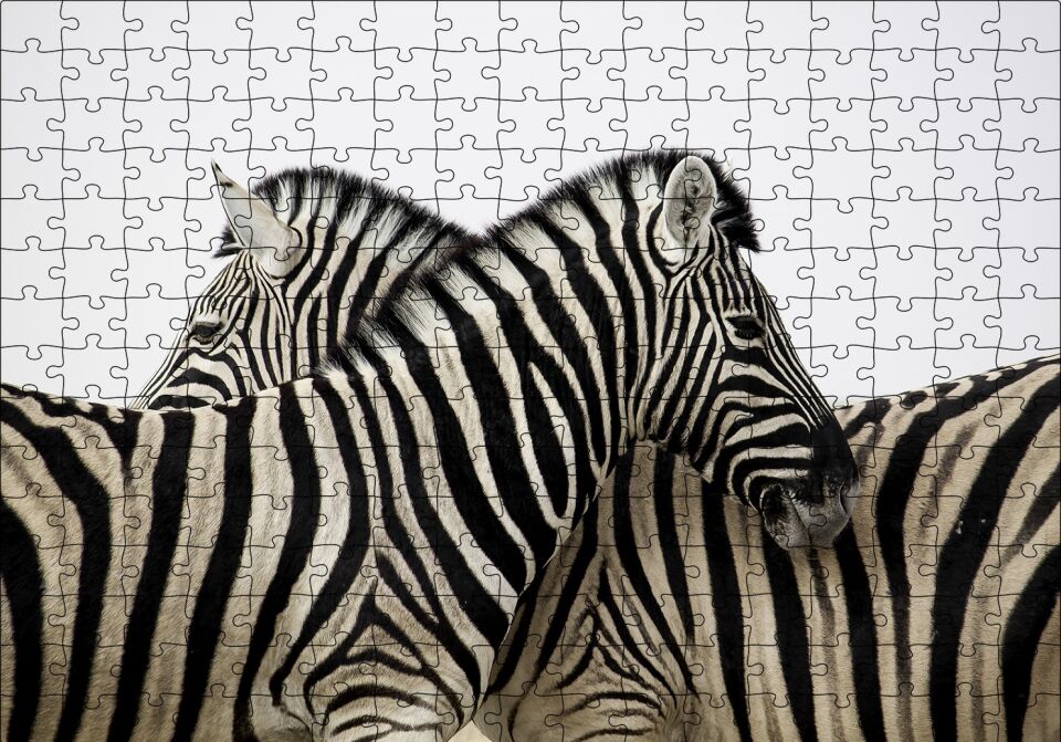 Yanyana Bir Çift Zebra Puzzle Yapboz MDF Ahşap 255 Parça 34 cm X 49 cm