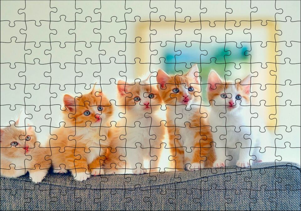 Koltukta Sarı Beyaz Yavru Kediler Puzzle Yapboz MDF Ahşap