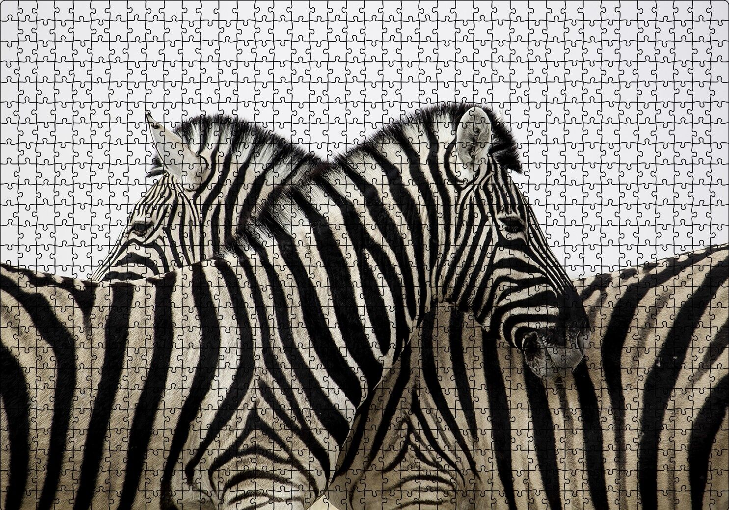 Yanyana Bir Çift Zebra Puzzle Yapboz MDF Ahşap 1000 Parça 49 cm X 68 cm