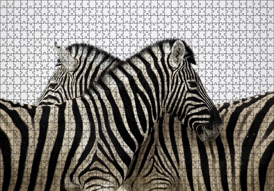 Yanyana Bir Çift Zebra Puzzle Yapboz MDF Ahşap 1000 Parça 49 cm X 68 cm