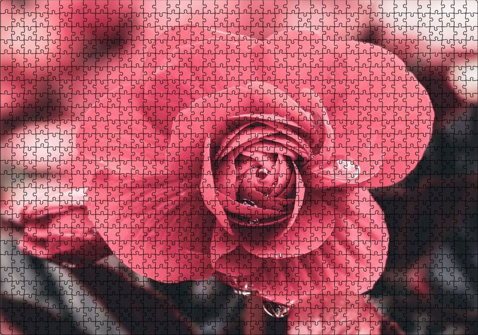 Kırmızı Çiçek ve Damlalar Yakın Plan Puzzle Yapboz MDF Ahşap 1000 Parça 49 cm X 68 cm