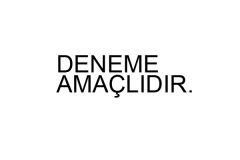 Test56