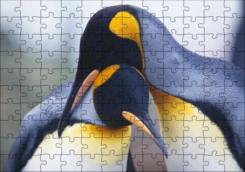 Kral Penguen Çifti Puzzle Yapboz MDF Ahşap