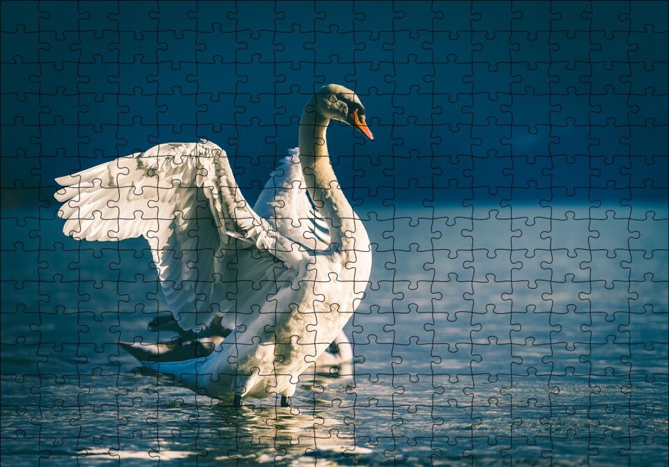 Gölde Kanatlarını Açan Kuğular Puzzle Yapboz MDF Ahşap 255 Parça 34 cm X 49 cm
