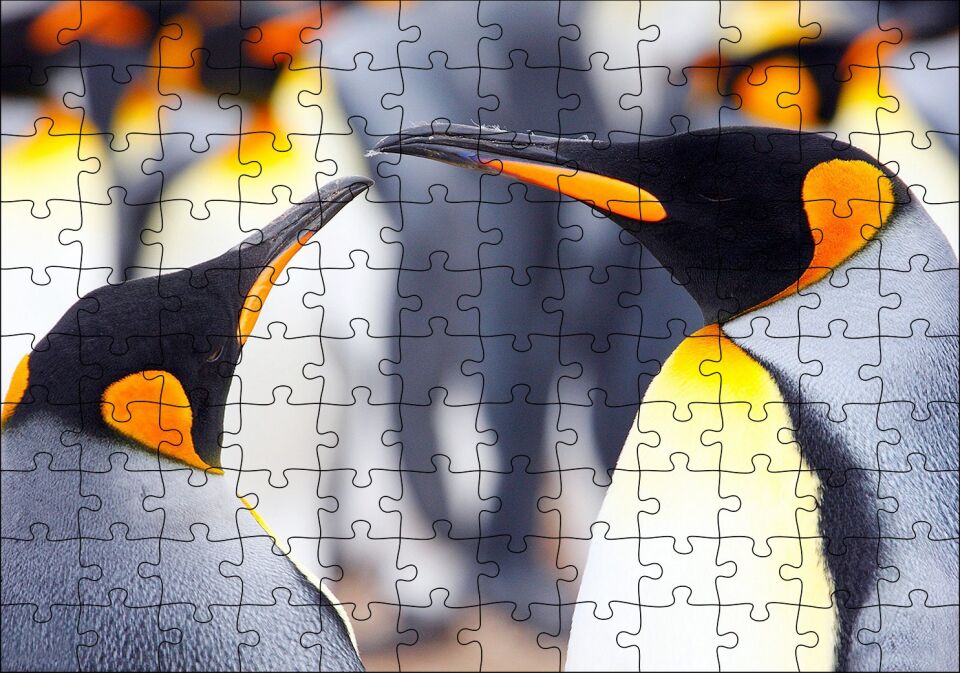Kral Penguenler Puzzle Yapboz MDF Ahşap