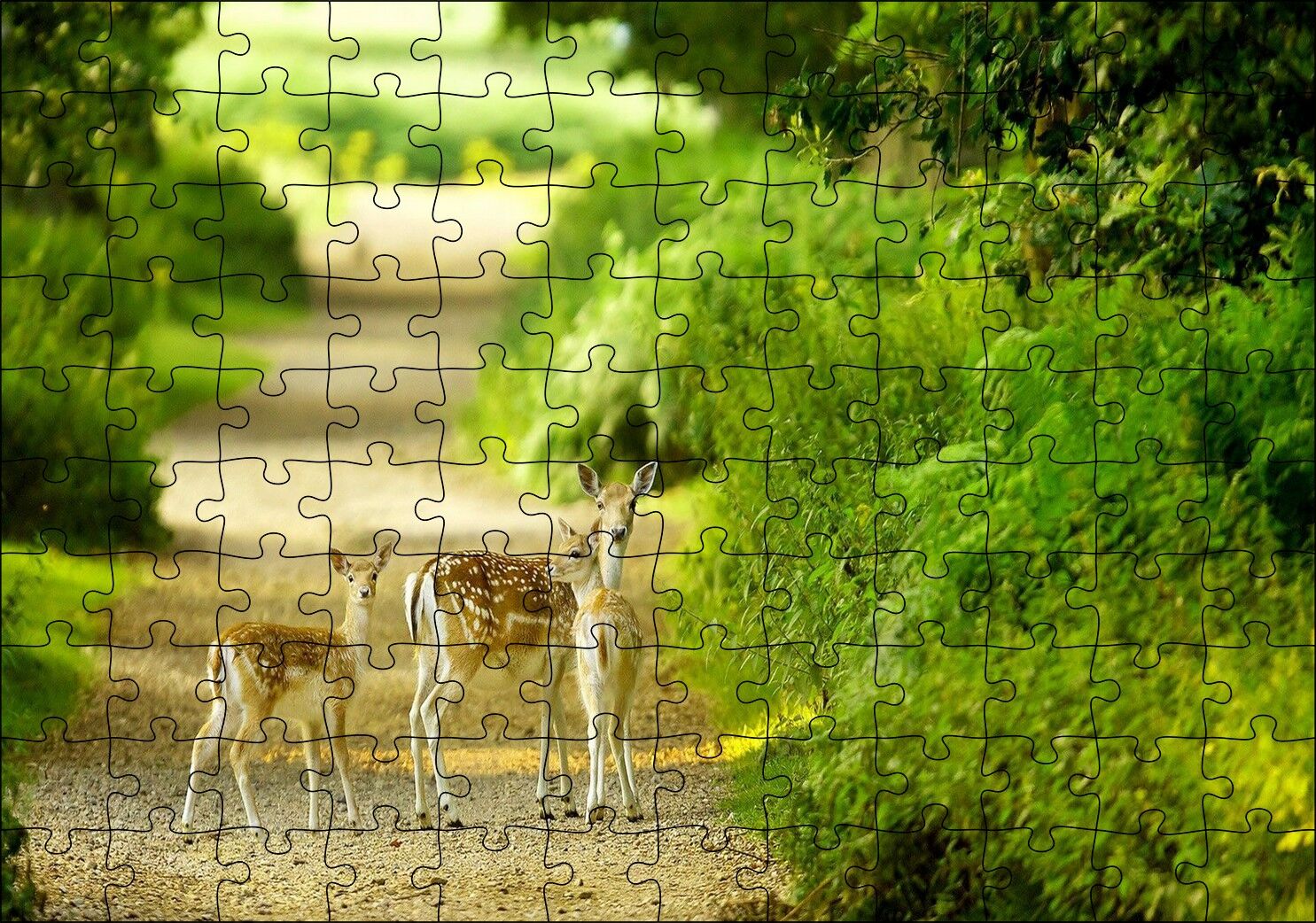 Orman Patikasında Anne Ceylan ve Yavruları Puzzle Yapboz MDF Ahşap