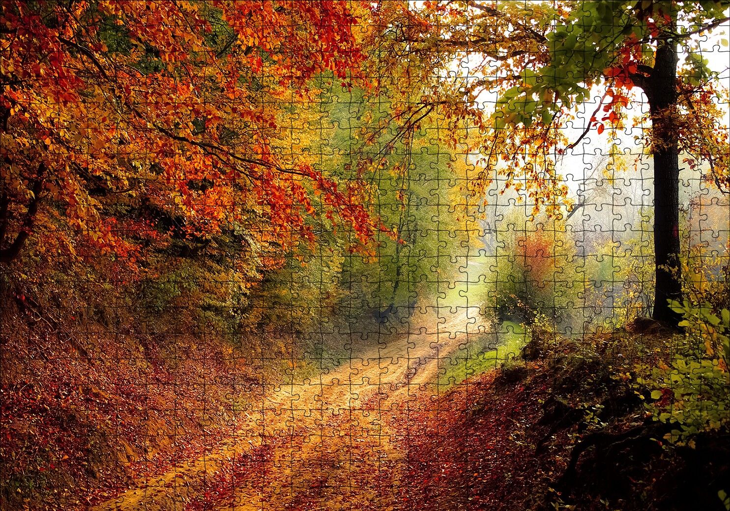 Sonbahar Renkleri, Yapraklar ve Ormandaki Patika Puzzle Yapboz MDF Ahşap 500 Parça 49 cm X 68 cm