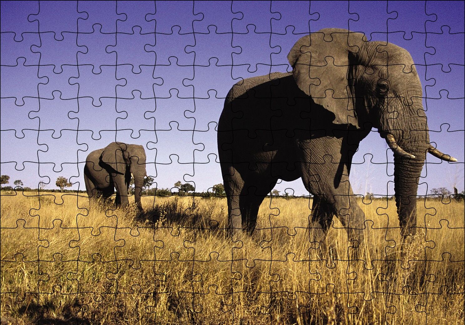 Afrikadaki İkili Filler Puzzle Yapboz MDF Ahşap 120 Parça 24 cm X 34 cm