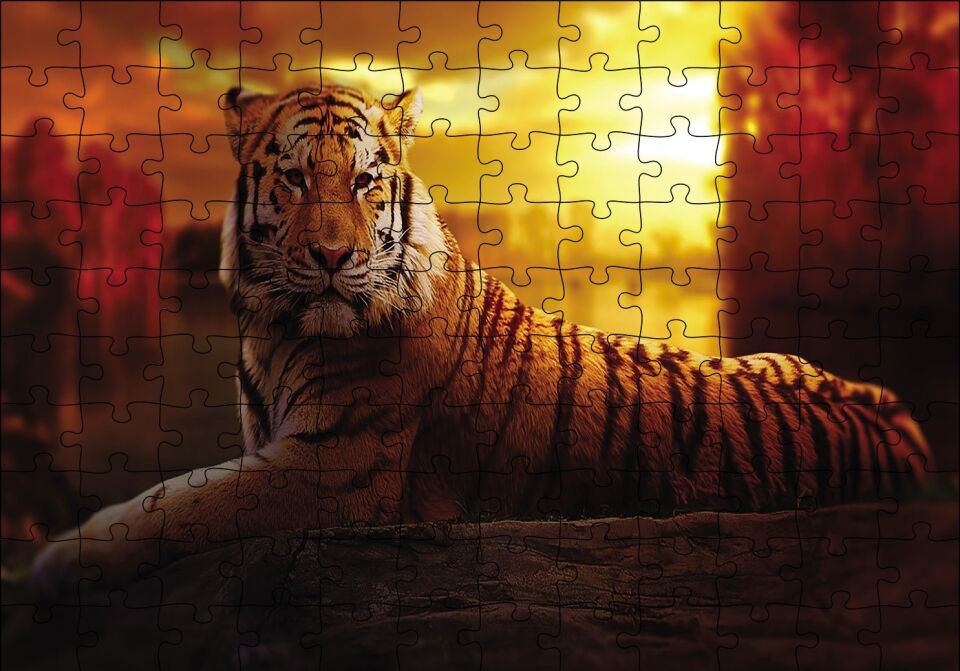 Günbatımında Kaplan Puzzle Yapboz MDF Ahşap