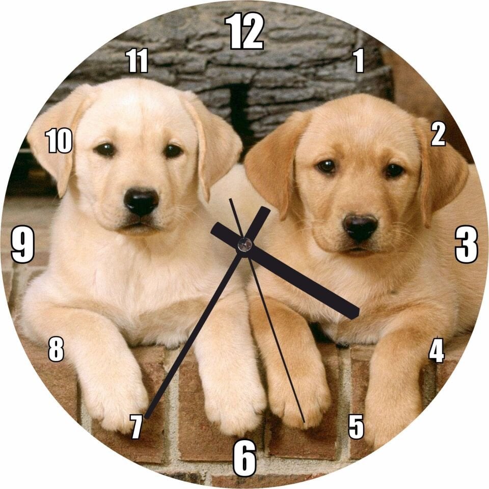 Şöminenin Önünde İki Labrador Yavrusu Mdf Ahşap Duvar Saati