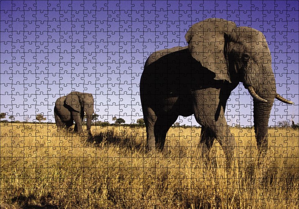 Afrikadaki İkili Filler Puzzle Yapboz MDF Ahşap 500 Parça 49 cm X 68 cm