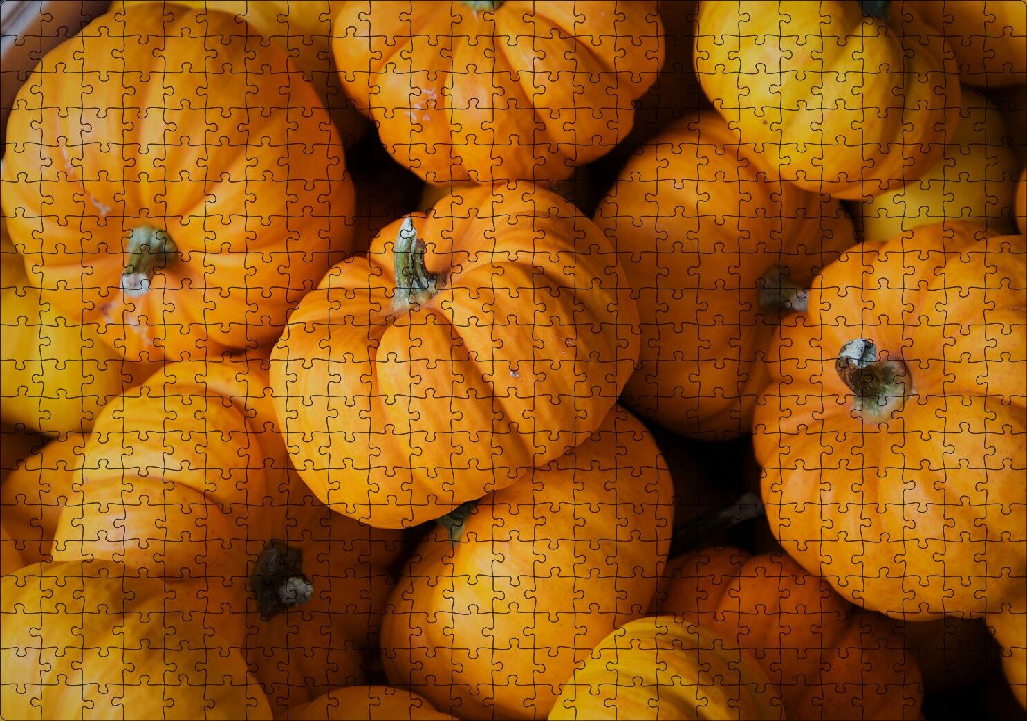 Turuncu Minyatür Kabaklar Yakın Plan Puzzle Yapboz MDF Ahşap 500 Parça 49 cm X 68 cm