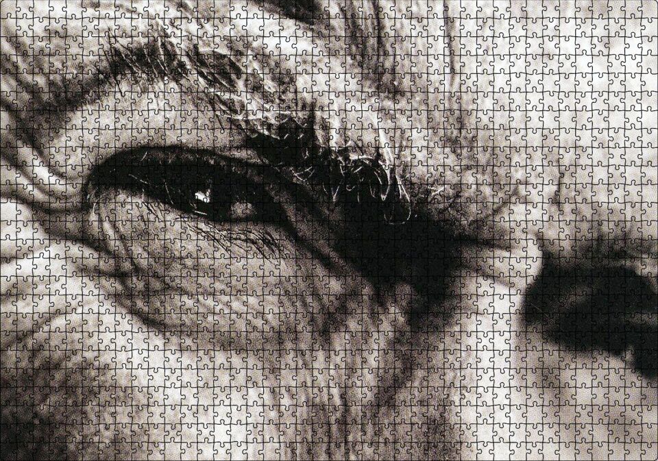 Clint Eastwood Portre Gözler Puzzle Yapboz MDF Ahşap 1000 Parça 49 cm X 68 cm