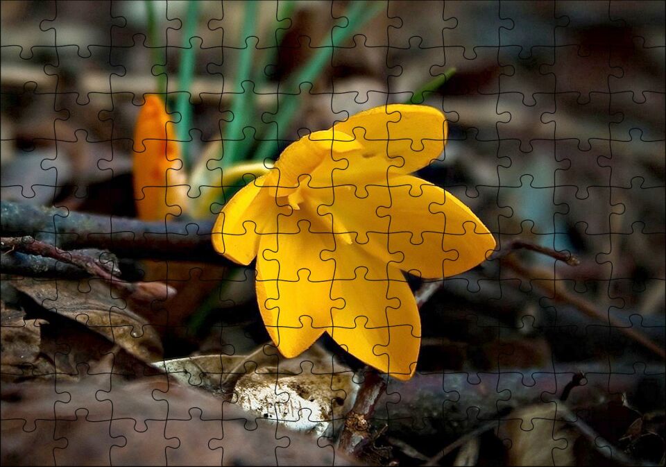 Kütükler Arasında Sarı Çiçek Puzzle Yapboz MDF Ahşap