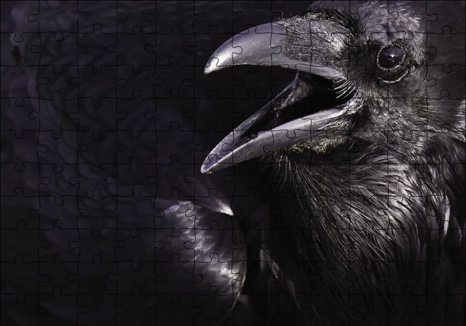 Karga Açık Gagalı Puzzle Yapboz MDF Ahşap