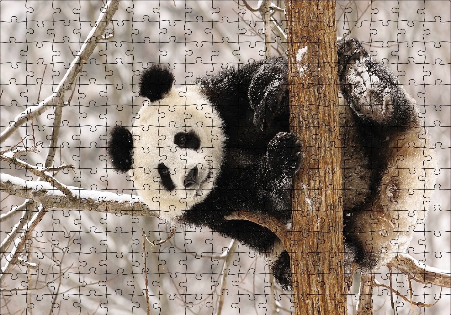 Ağaç Dalında Panda Puzzle Yapboz MDF Ahşap 255 Parça 34 cm X 49 cm