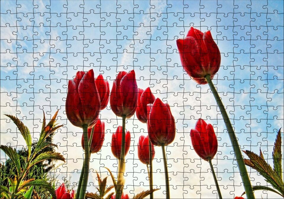 Kırmızı Lale Bahçesi Görseli Puzzle Yapboz MDF Ahşap 255 Parça 34 cm X 49 cm