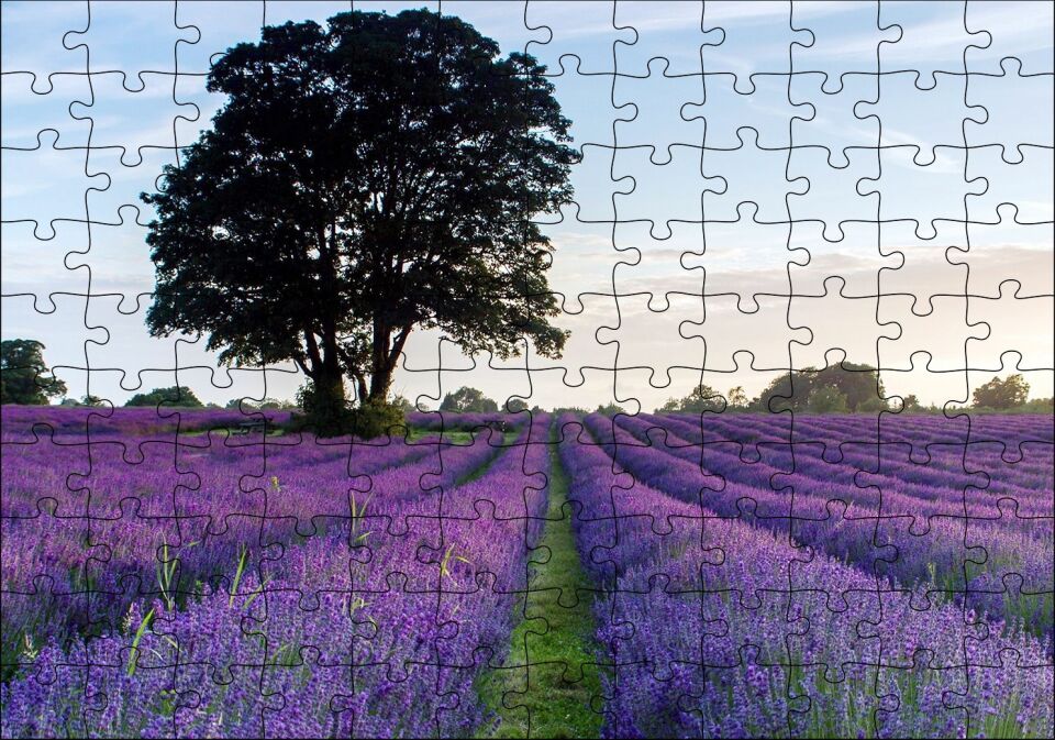 Lavanta Tarlaları ve Yalnız Ağaç Puzzle Yapboz MDF Ahşap