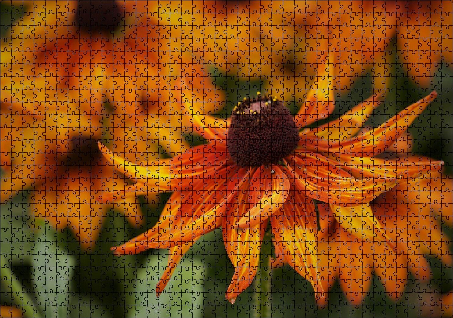 Turuncu Yapraklı Çiçek Yakın Plan Puzzle Yapboz MDF Ahşap 1000 Parça 49 cm X 68 cm