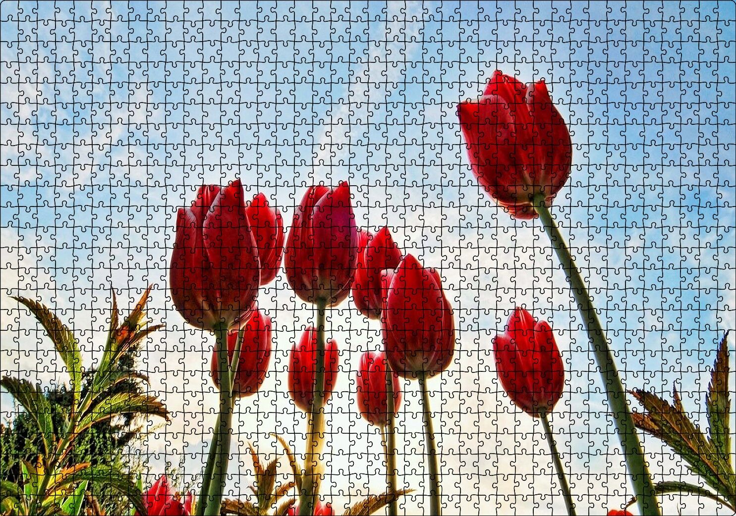 Kırmızı Lale Bahçesi Görseli Puzzle Yapboz MDF Ahşap 1000 Parça 49 cm X 68 cm