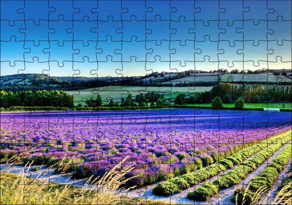 Lavanta Tarlası ve Yeşil Tepeler Puzzle Yapboz MDF Ahşap