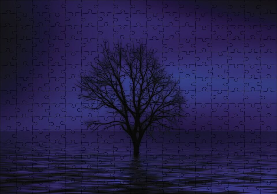 Göl İçinde Kuru Ağaç Puzzle Yapboz MDF Ahşap 255 Parça 34 cm X 49 cm