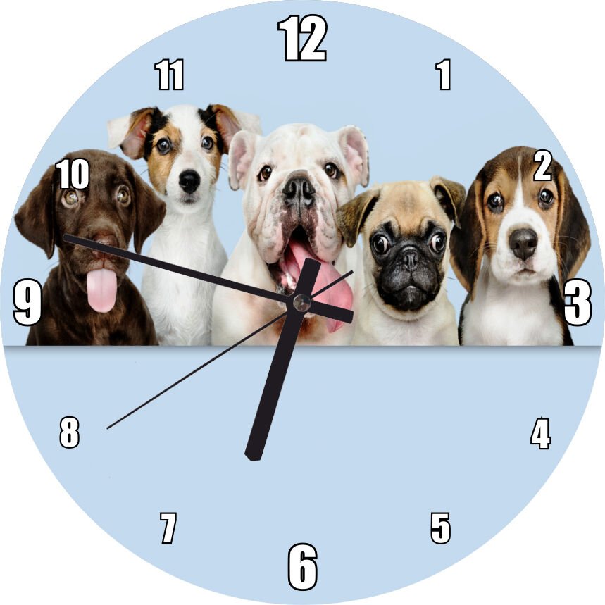 Sevimli 5 Köpek Portre Gökyüzü Arkaplan Mdf Ahşap Duvar Saati 50 cm Çap