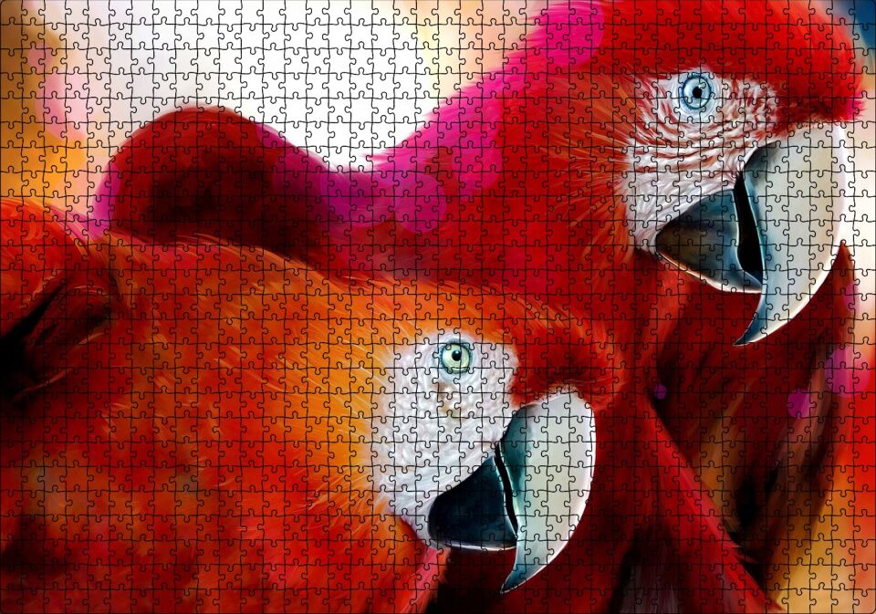 Kırmızı Papağanlar Puzzle Yapboz MDF Ahşap 1000 Parça 49 cm X 68 cm