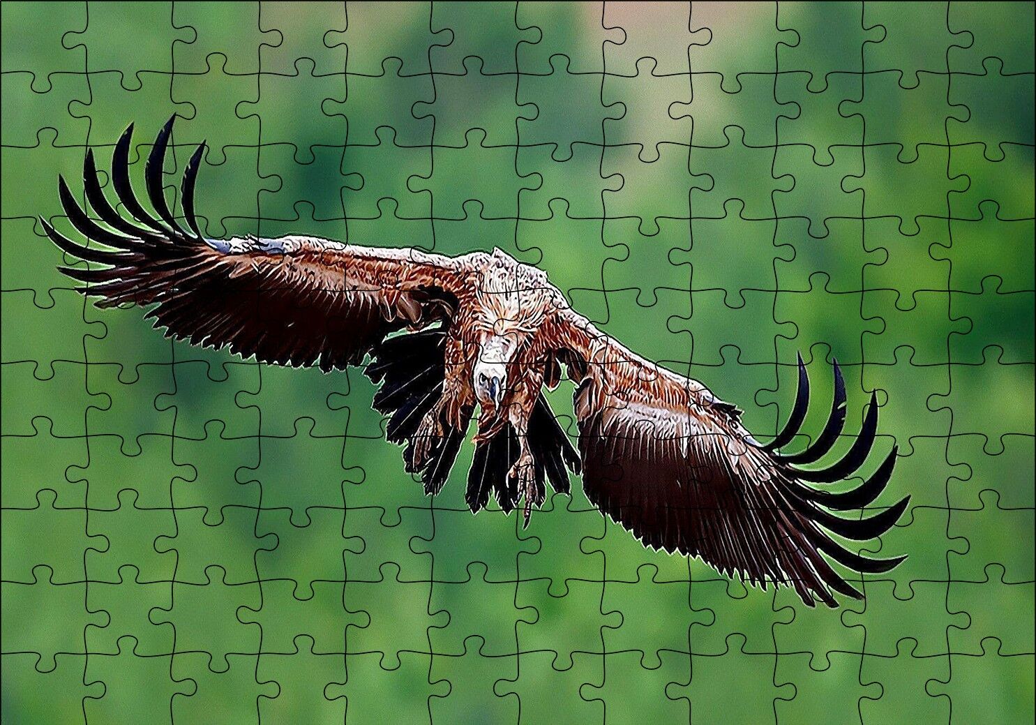 Süzülen Dev Akbaba Puzzle Yapboz MDF Ahşap