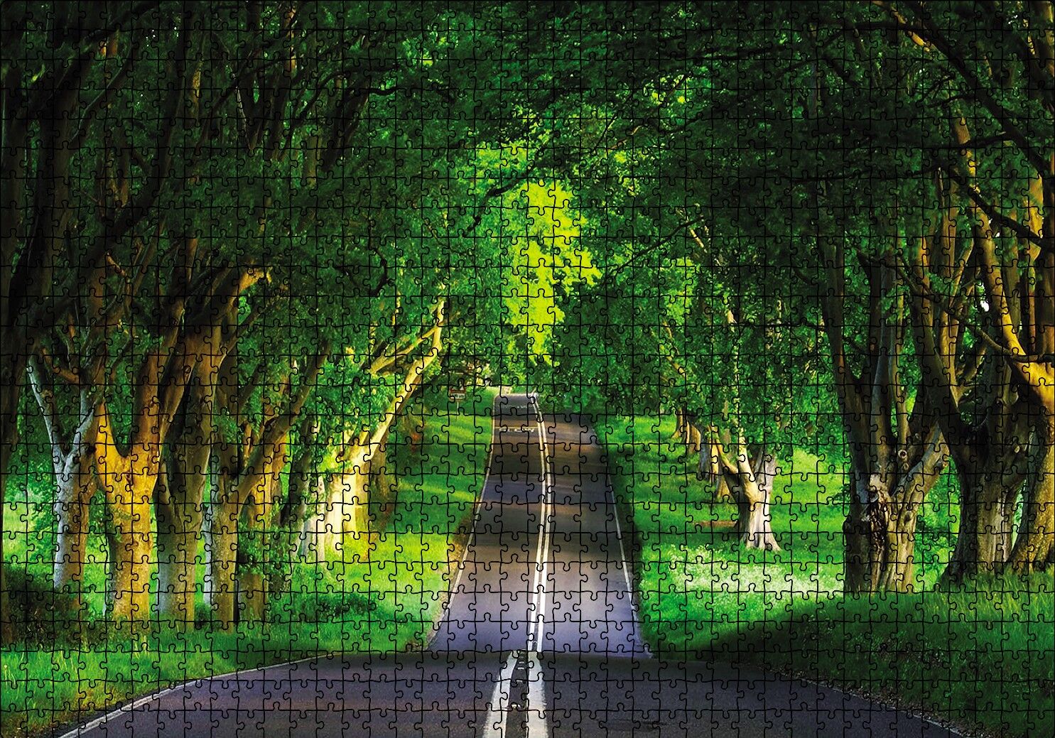 Ağaçlar Ve Yol Puzzle Yapboz MDF Ahşap 1000 Parça 49 cm X 68 cm