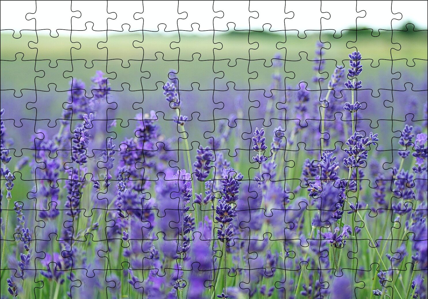 Yeşil Çayırlar ve Lavantalar Puzzle Yapboz MDF Ahşap