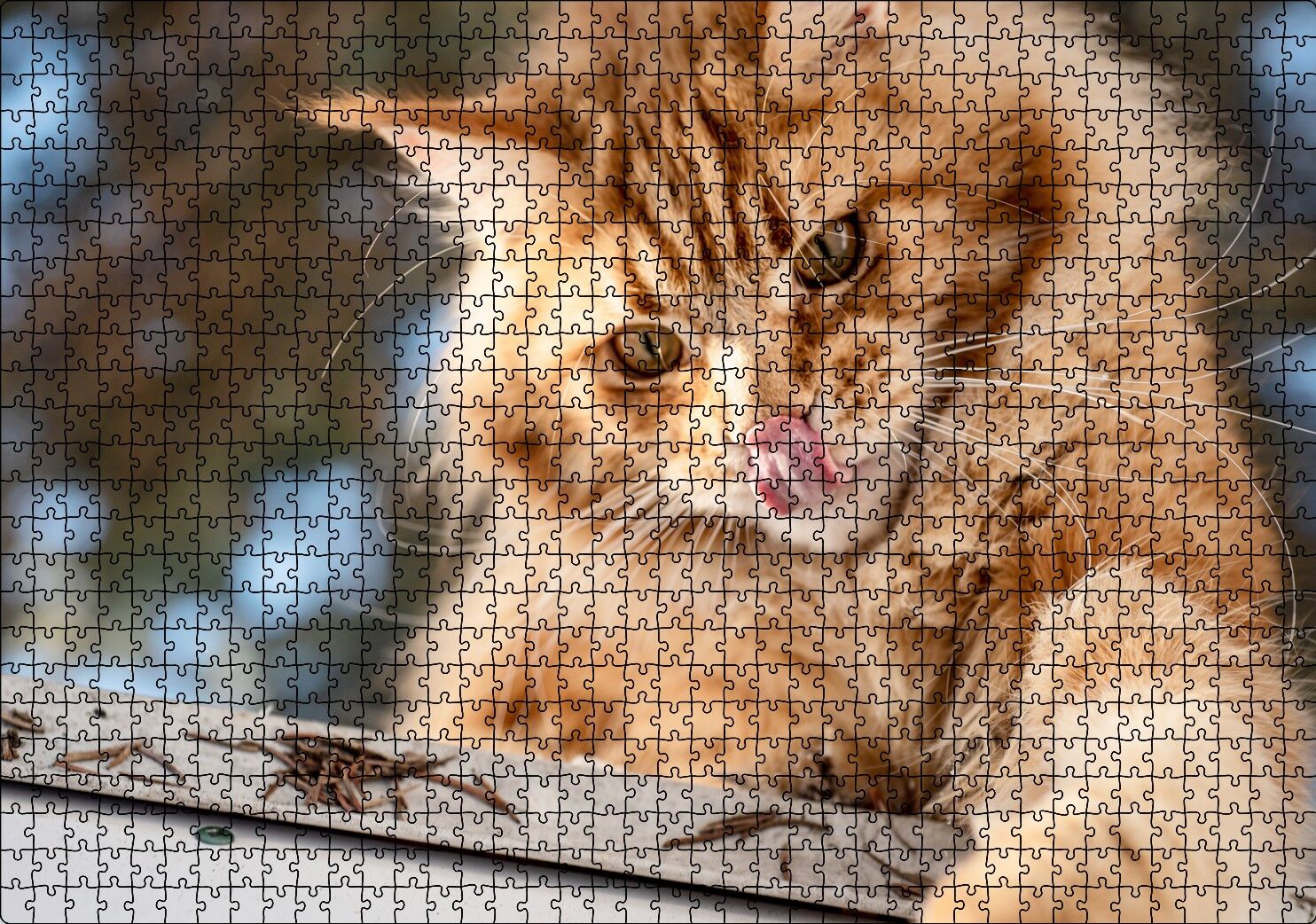 Yalanan Sarı Sevimli Kedi Puzzle Yapboz MDF Ahşap 1000 Parça 49 cm X 68 cm
