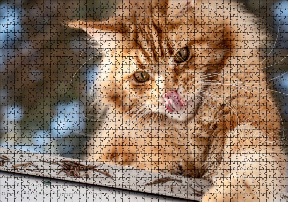Yalanan Sarı Sevimli Kedi Puzzle Yapboz MDF Ahşap 1000 Parça 49 cm X 68 cm