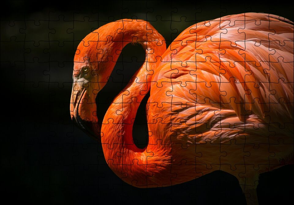 İhtiyar Flamingo Karanlık Arka Plan Puzzle Yapboz MDF Ahşap 120 Parça 24 cm X 34 cm
