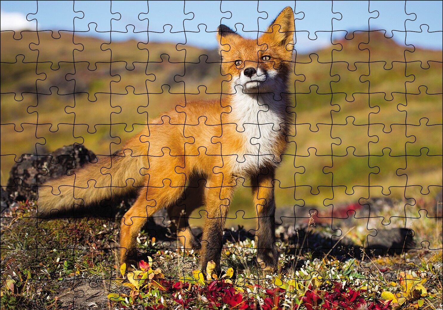 Kızıl Tilki Puzzle Yapboz MDF Ahşap
