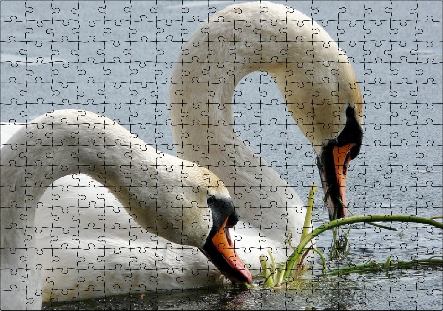 Gölde Beslenen Bir Çift Beyaz Kuğu Puzzle Yapboz MDF Ahşap 255 Parça 34 cm X 49 cm