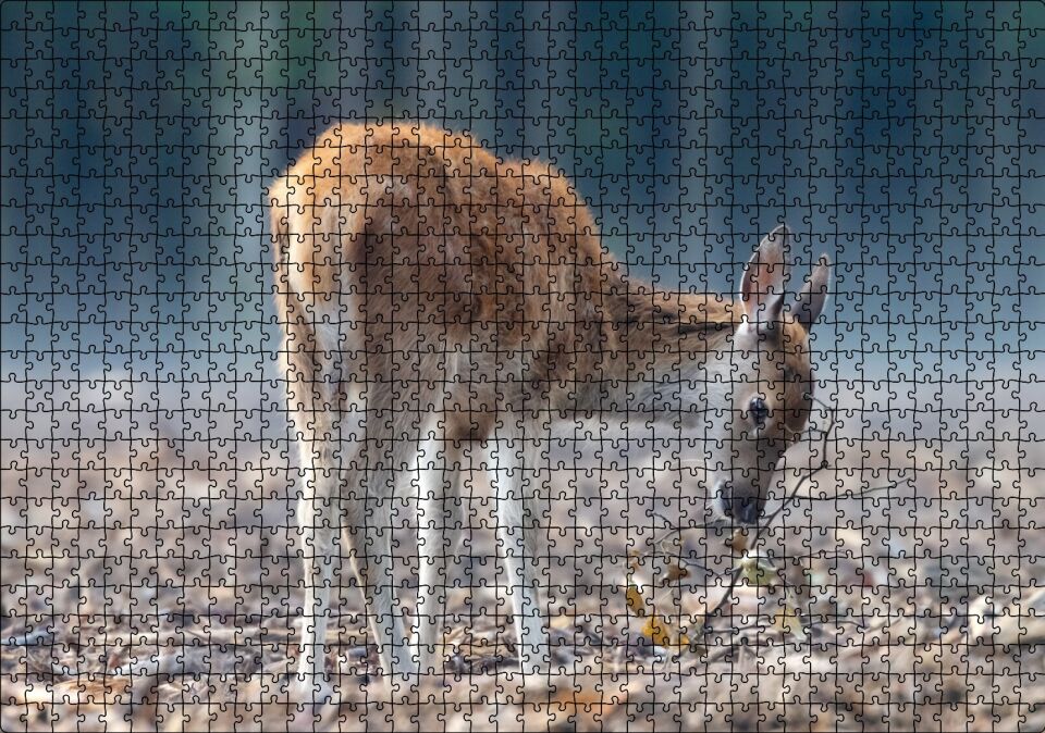 Yavru Geyik ve Yerde Kuru Yapraklar Puzzle Yapboz MDF Ahşap 1000 Parça 49 cm X 68 cm