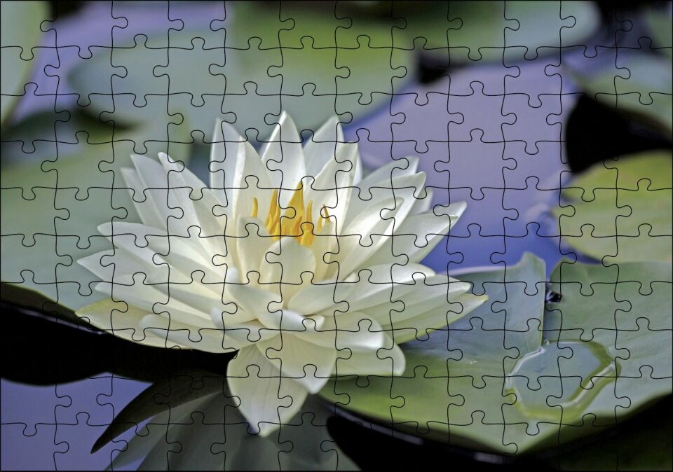 Gölde Nilüfer Çiçeği ve Yaprakları Puzzle Yapboz MDF Ahşap 120 Parça 24 cm X 34 cm