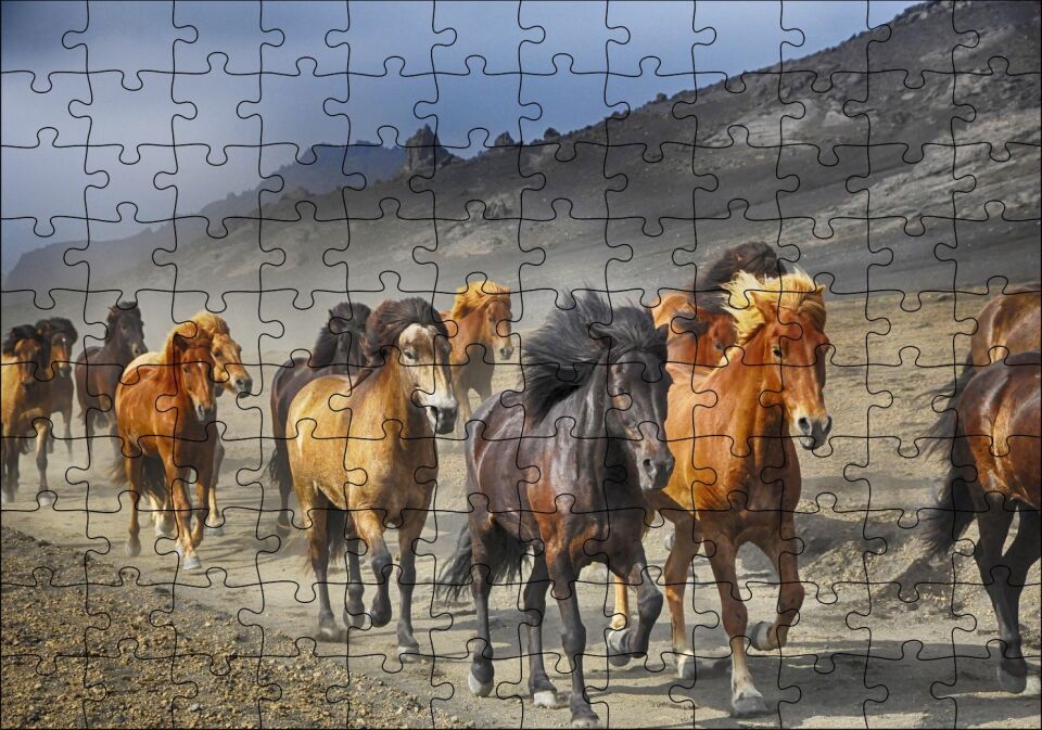 Tozlu Yolda Koşan Vahşi Atlar Puzzle Yapboz MDF Ahşap