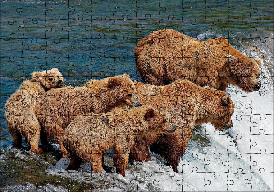Nehir Kıyısındaki Boz Ayılar Puzzle Yapboz MDF Ahşap