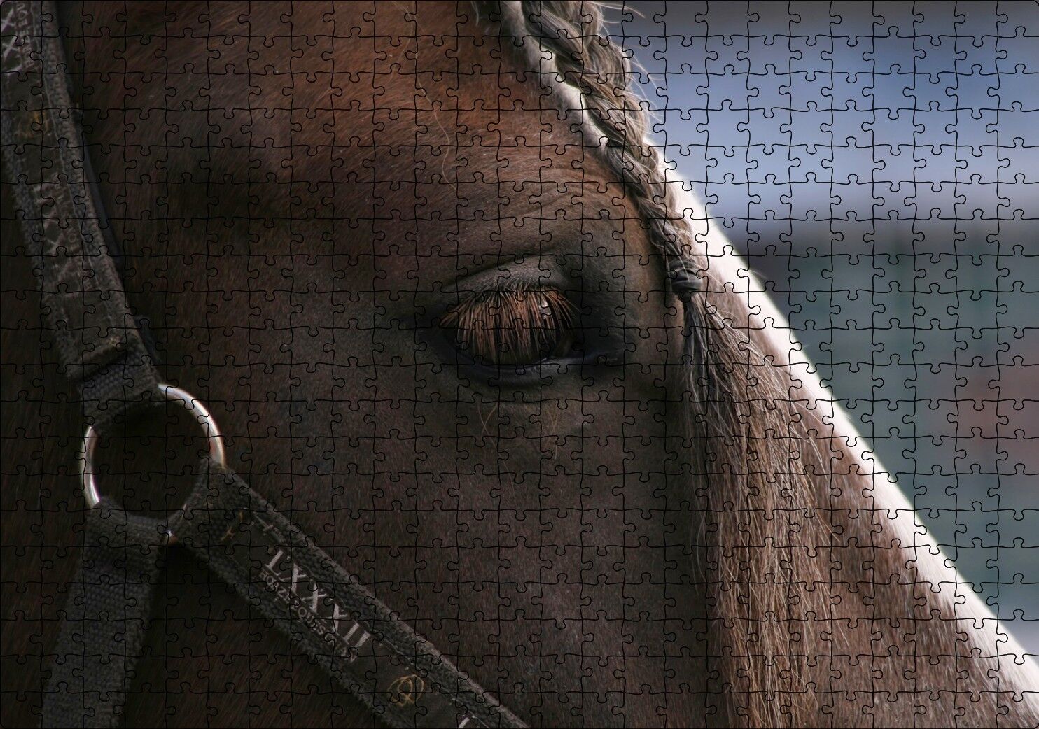 Yelesi Örülü Kahverengi At Yakın Çekim Puzzle Yapboz MDF Ahşap 500 Parça 49 cm X 68 cm