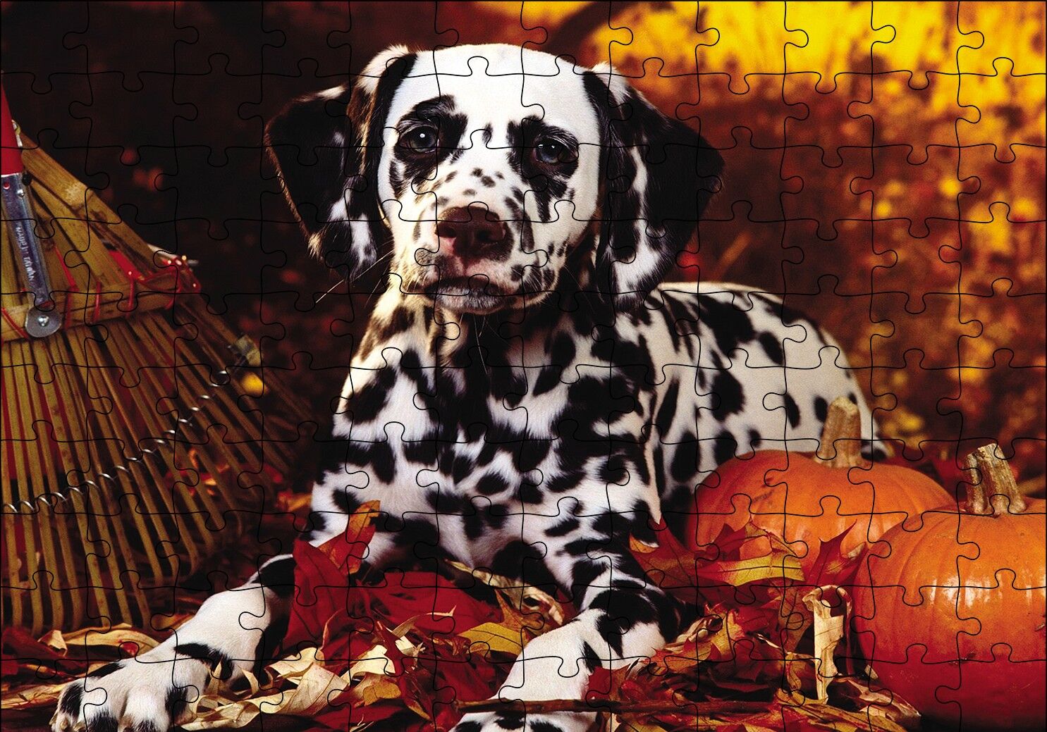 Köpek Cadılar Bayramı Puzzle Yapboz MDF Ahşap